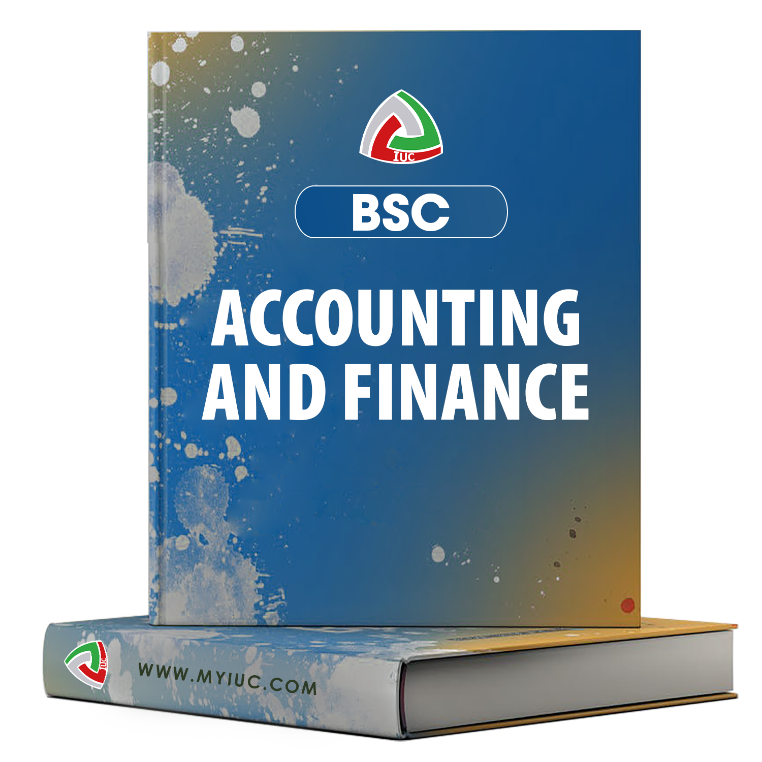 B.SC-ACCOUNTING-AND-FINANCE.png