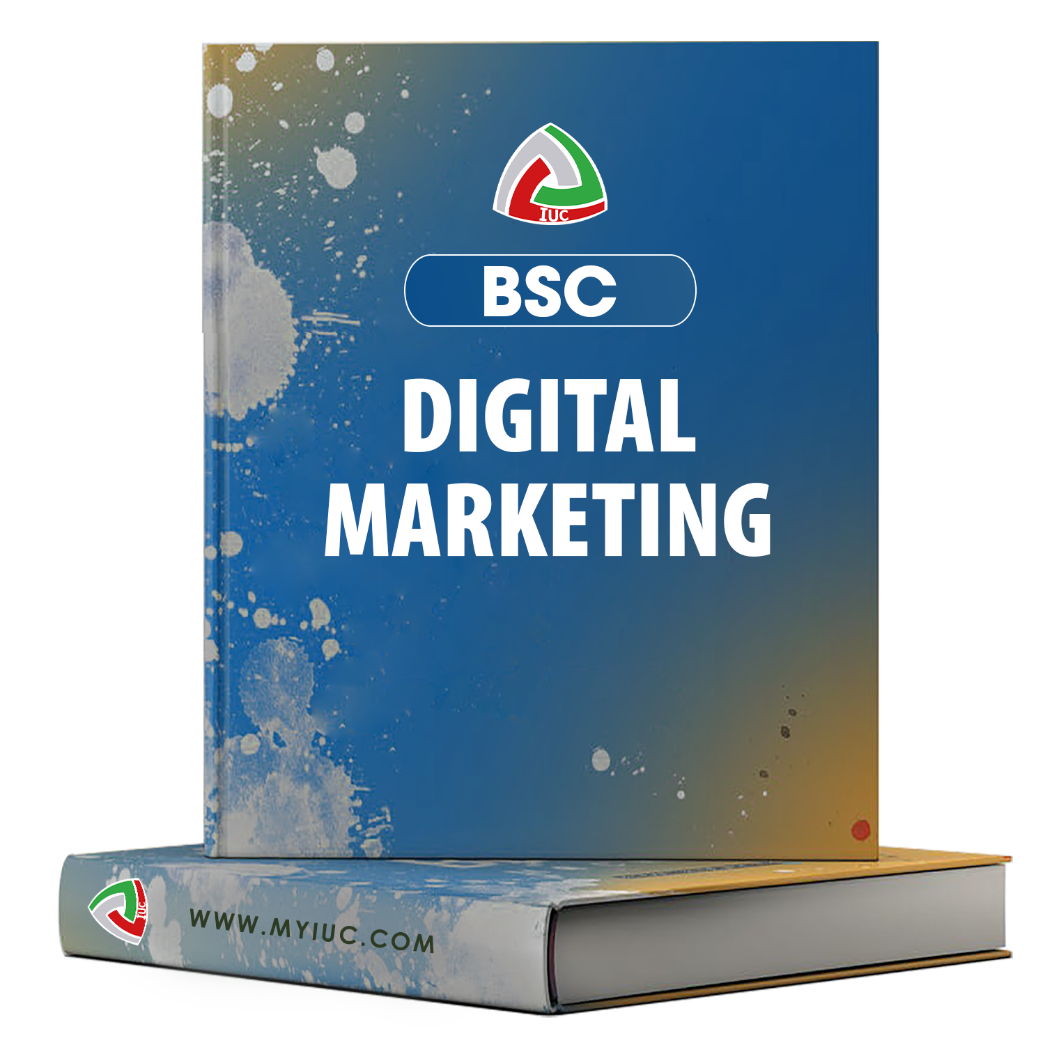 B.SC-DIGITAL-MARKETING.png