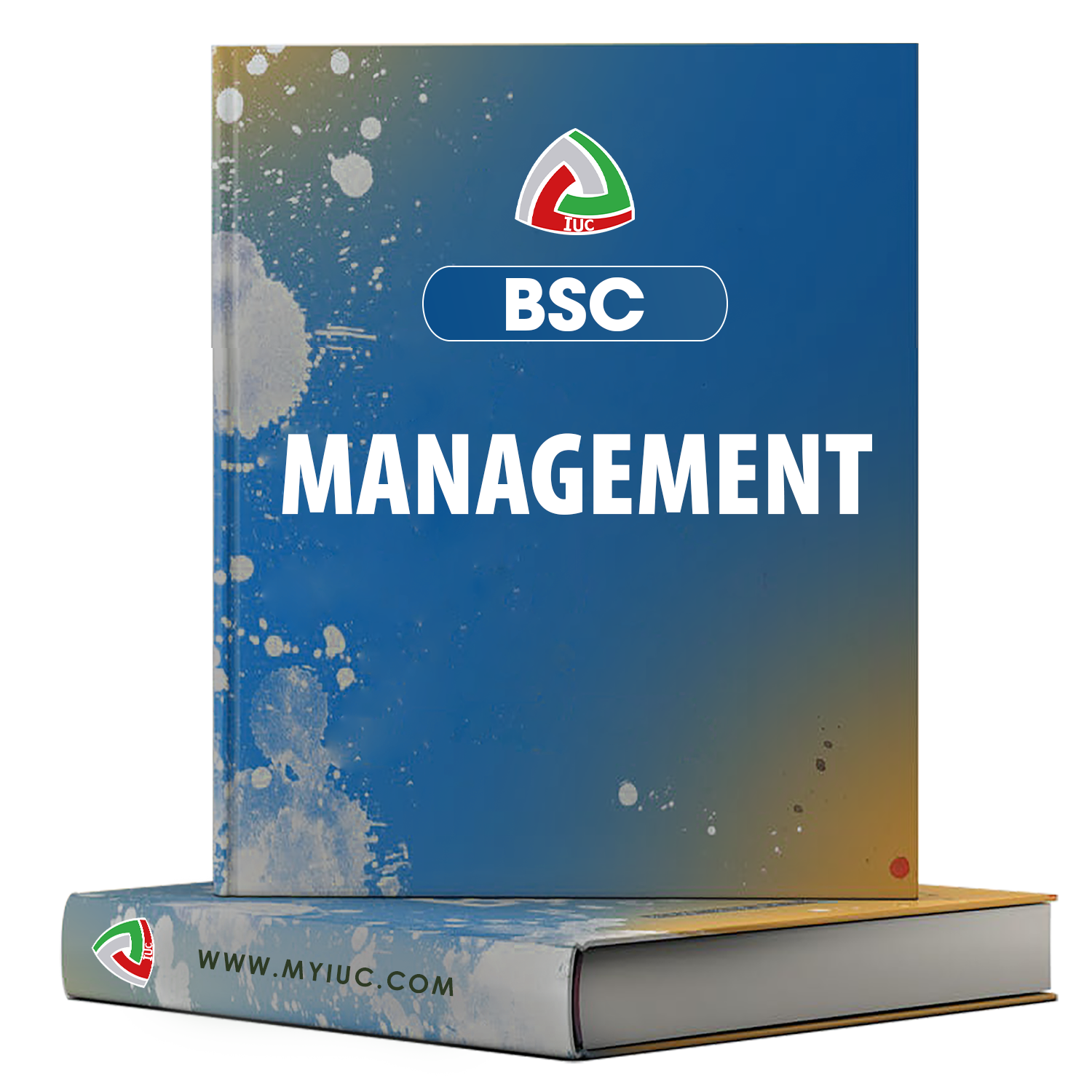 B.SC-MANAGEMENT.png