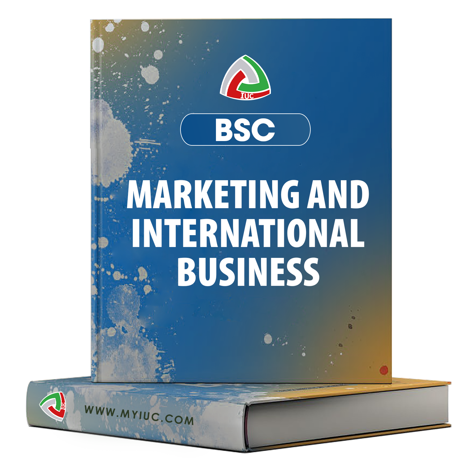 B.SC-MARKETING-AND-INTERNATIONAL-BUSINESS.png