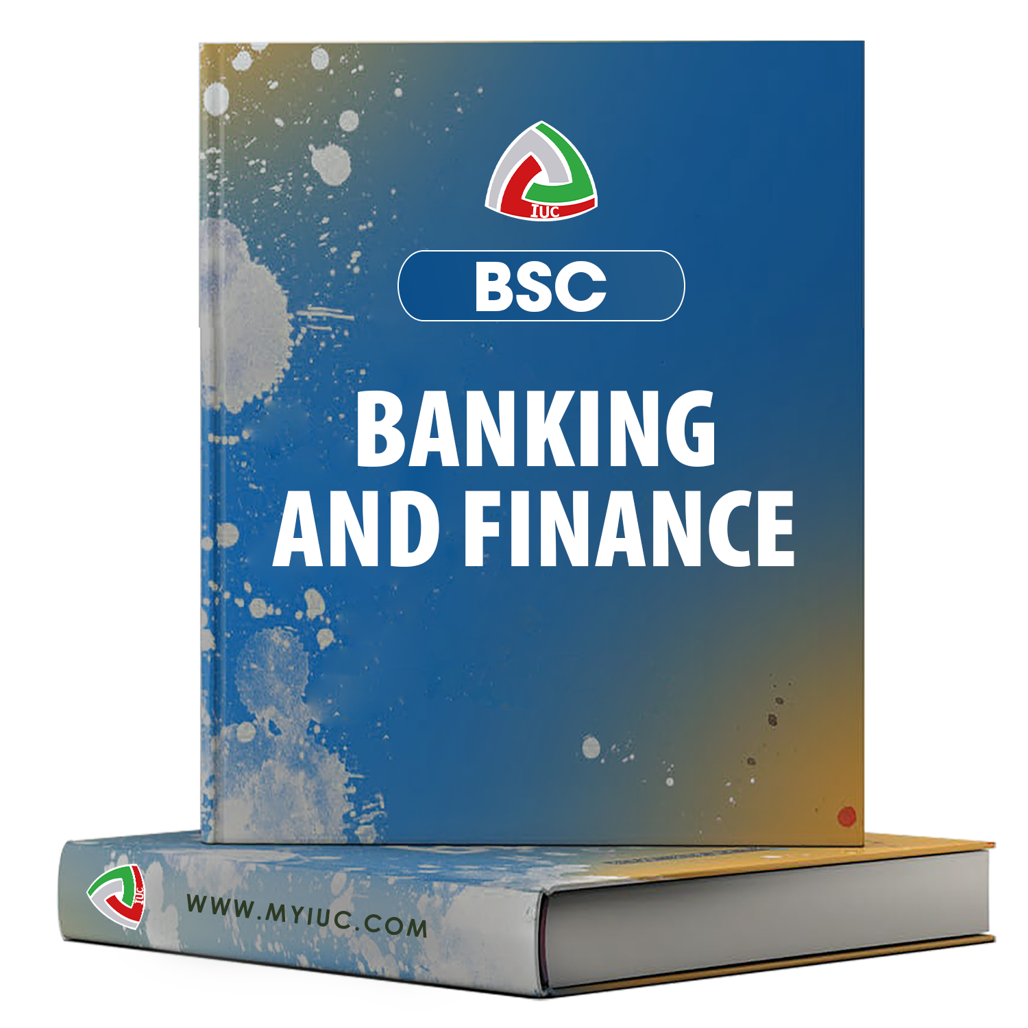BSC-BANKING-AND-FINANCE.png