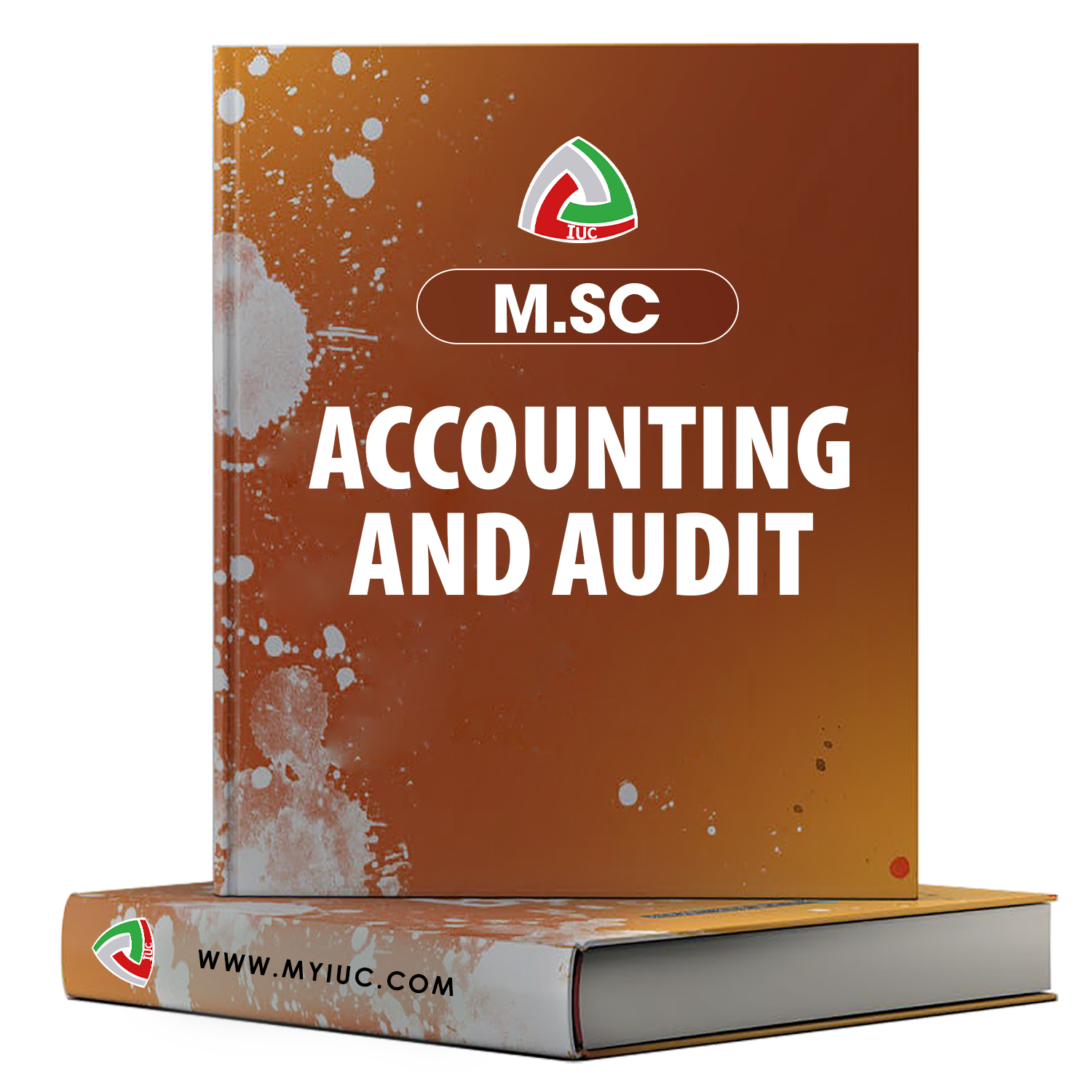 M.SC-–-ACCOUNTING-AND-AUDIT.png