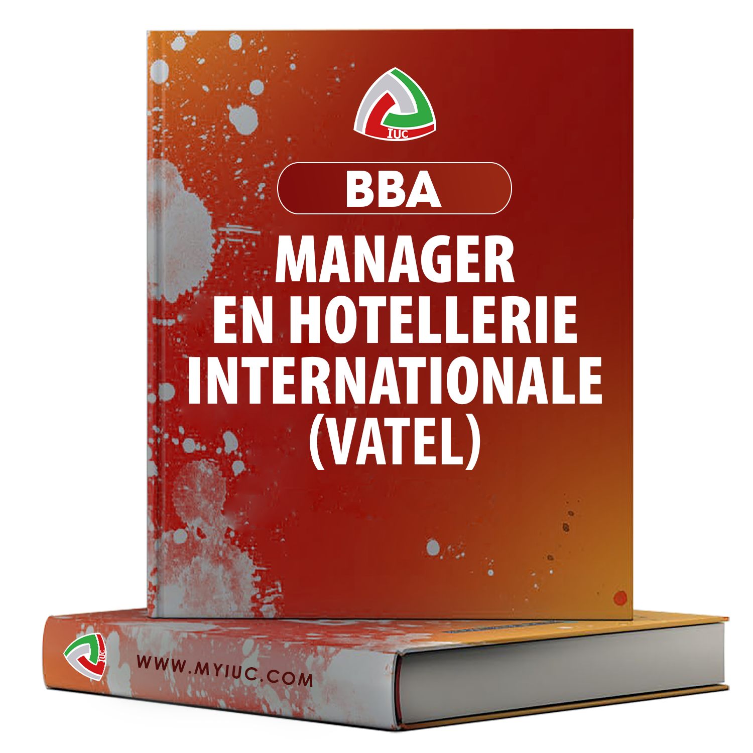VATEL-MANAGER-EN-HOTELLERIE-INTERNATIONALE.png